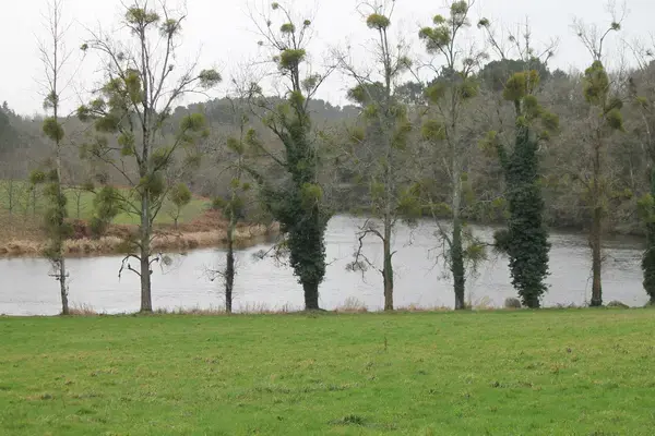 Borne de Recharge 56 Installateur borne de recharge Muzillac